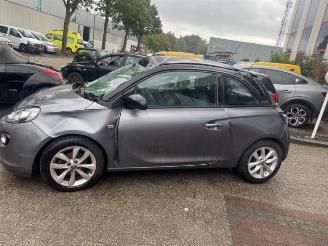 damaged passenger cars Opel Adam Adam, Hatchback 3-drs, 2012 / 2019 1.4 16V Bi-Fuel Ecoflex 2018/9