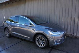 Tesla Model X 100D 100kWh 307kW 6p. Luchtvering picture 2