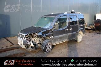škoda osobní automobily Fiat Doblo Doblo (223A/119), MPV, 2001 / 2010 1.9 JTD Multijet 2008/5