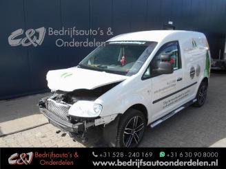 uszkodzony samochody osobowe Volkswagen Caddy Caddy III (2KA,2KH,2CA,2CH), Van, 2004 / 2015 1.9 TDI 2005/9