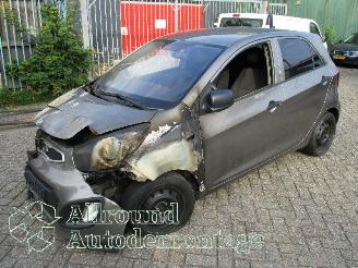 Auto incidentate Kia Picanto Picanto (TA) Hatchback 1.0 12V (G3LA) [51kW]  (05-2011/06-2017) 2012