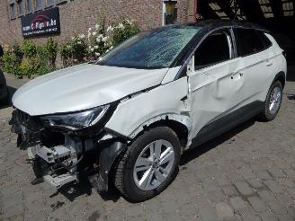 uszkodzony samochody osobowe Opel Grandland X Innovation 2021/9