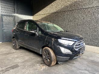uszkodzony samochody osobowe Ford EcoSport (JK8) SUV 2013 1.0 EcoBoost 12V 125 SUV  Benzine 998cc 92kW (125pk) FWD 2019/10