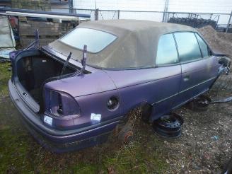 uszkodzony samochody osobowe Opel Cabrio  1996/1