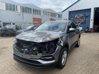 dañado vehículos comerciales Opel Grandland  2020/4