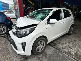 Damaged car Kia Picanto  2019/3